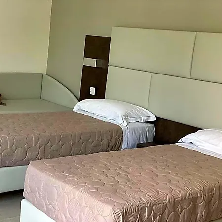 Bertani 4*